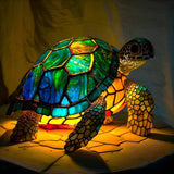 Sternenlicht - Lampe in Vitrinen